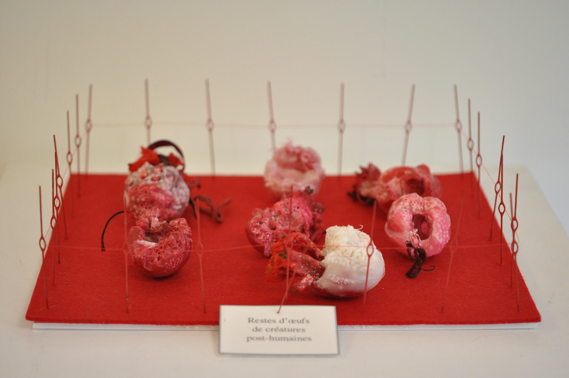 œufs-egg-Organic piece-wax-cire-contemporary art-art textile-fiber art-Maureen Lasne