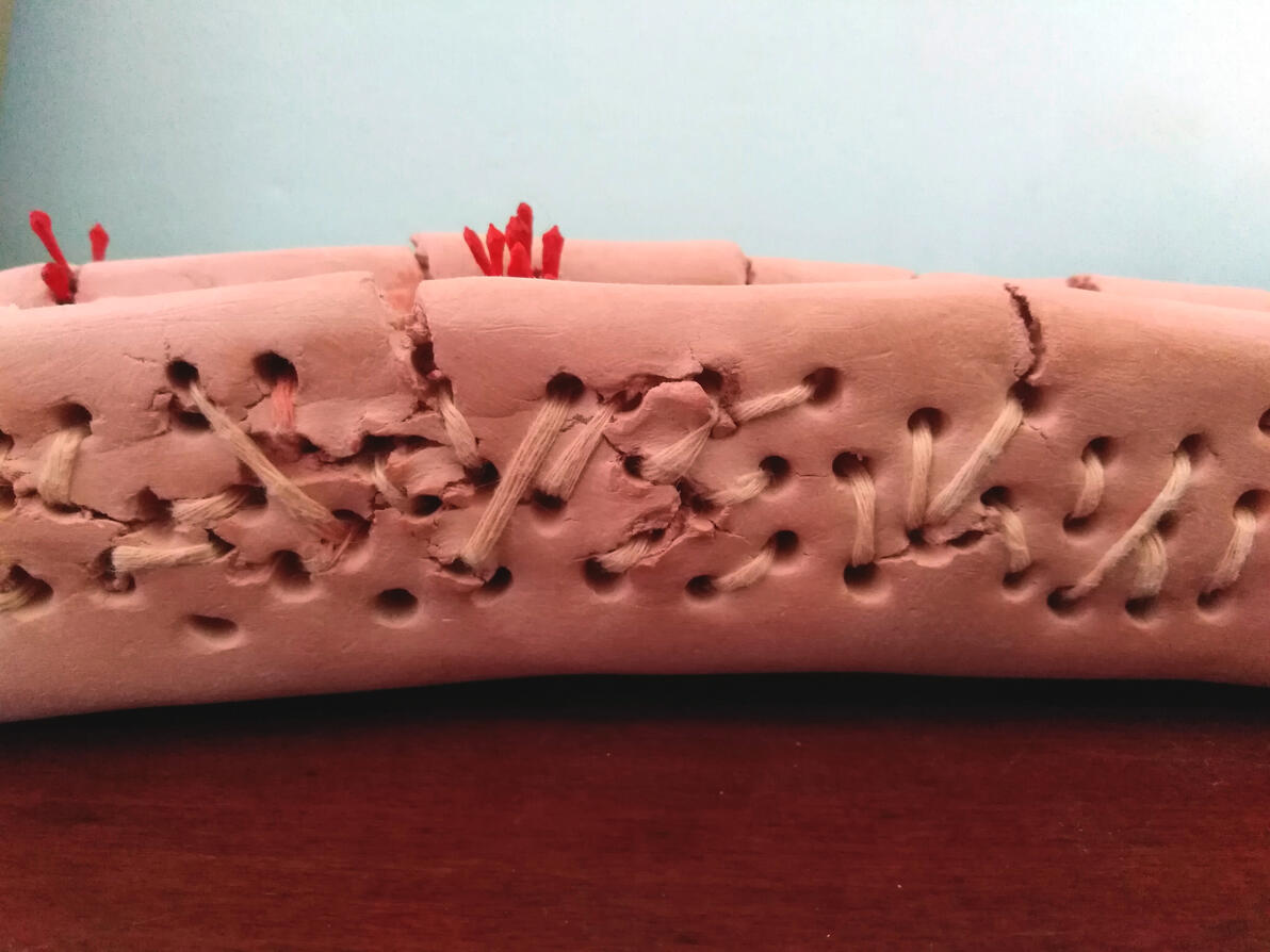 céramique d'art-ceramic art-red clay-Maureen Lasne-Contemporary art-Organic piece